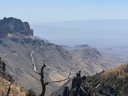 emory peak photo 2