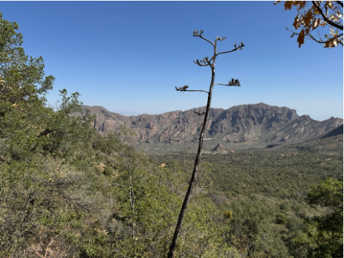 emory peak photo 3